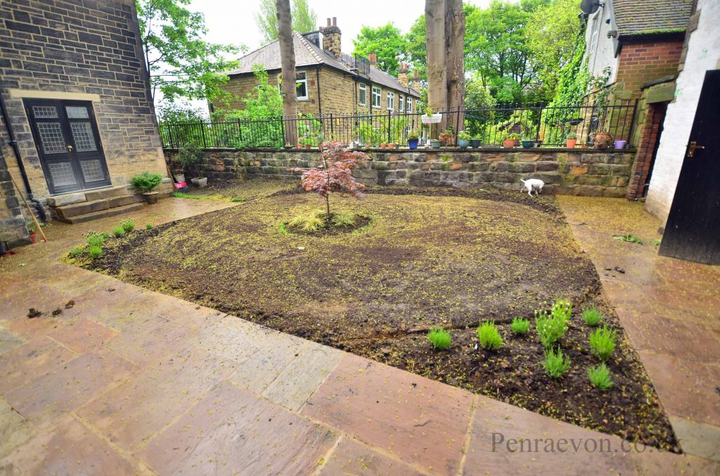Courtyard paving